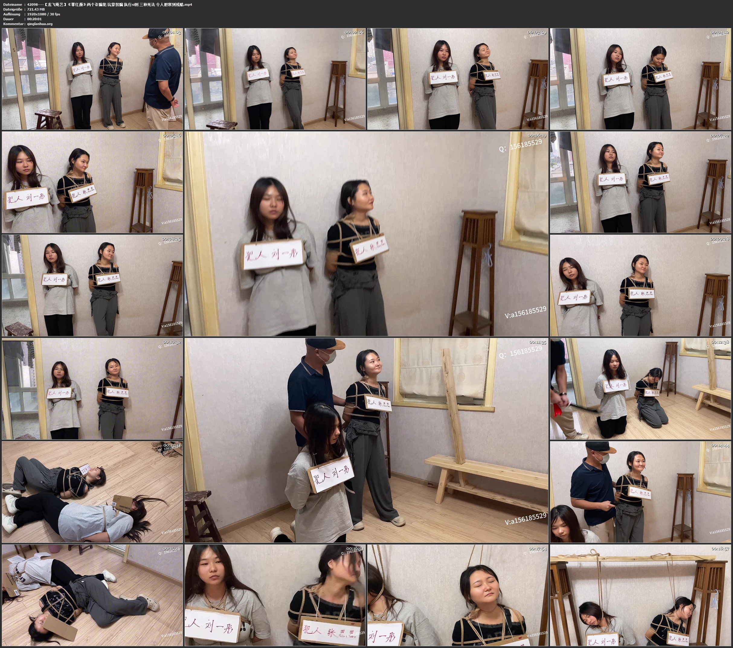 42098----【龙飞绳艺】《罪红颜》两个诈骗犯 坑蒙拐骗 执行si刑 三种死法 令人胆寒到残酷.jpg