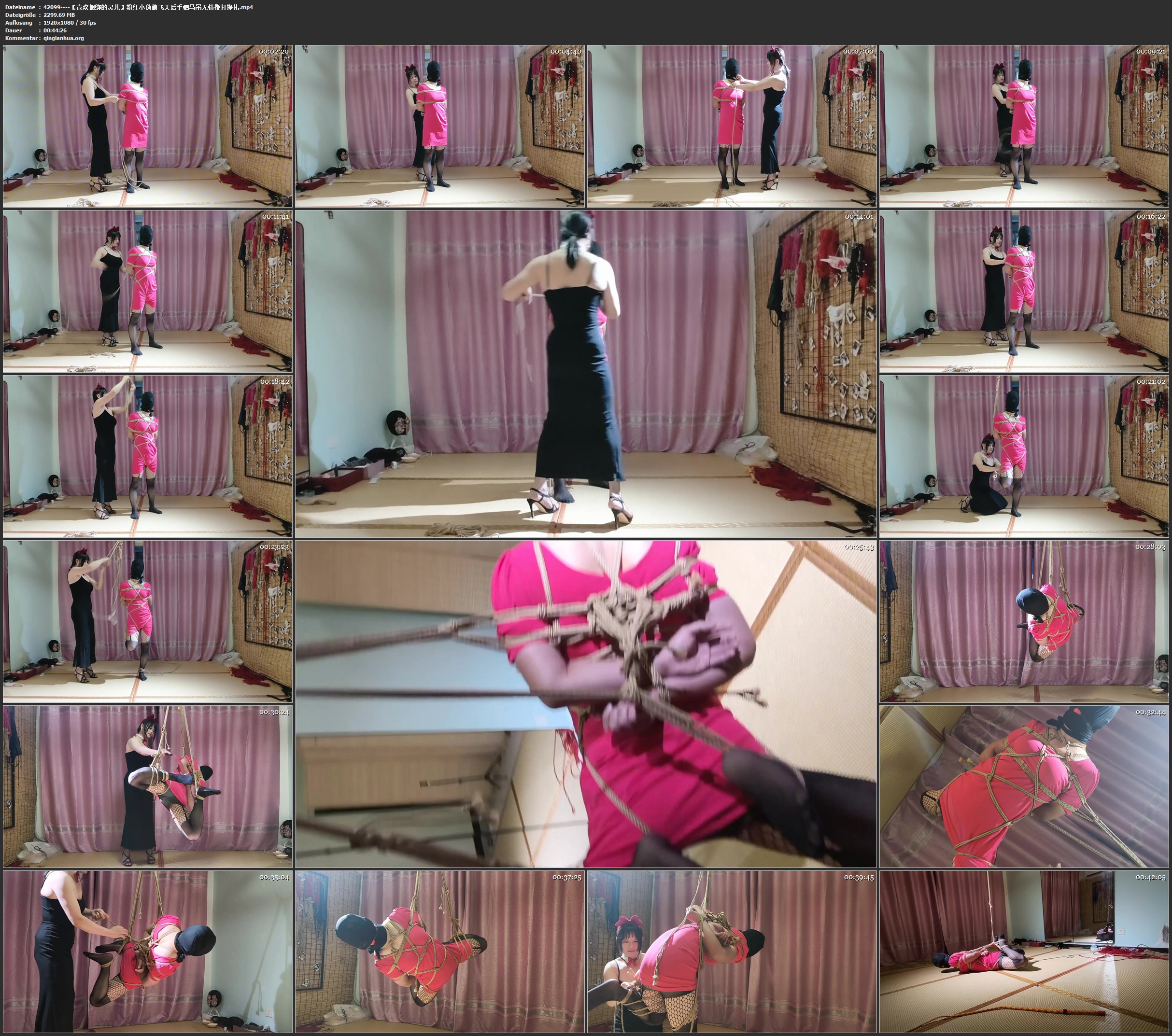 42099----【喜欢捆绑的灵儿】粉红小伪娘飞天后手驷马吊无情鞭打挣扎.jpg