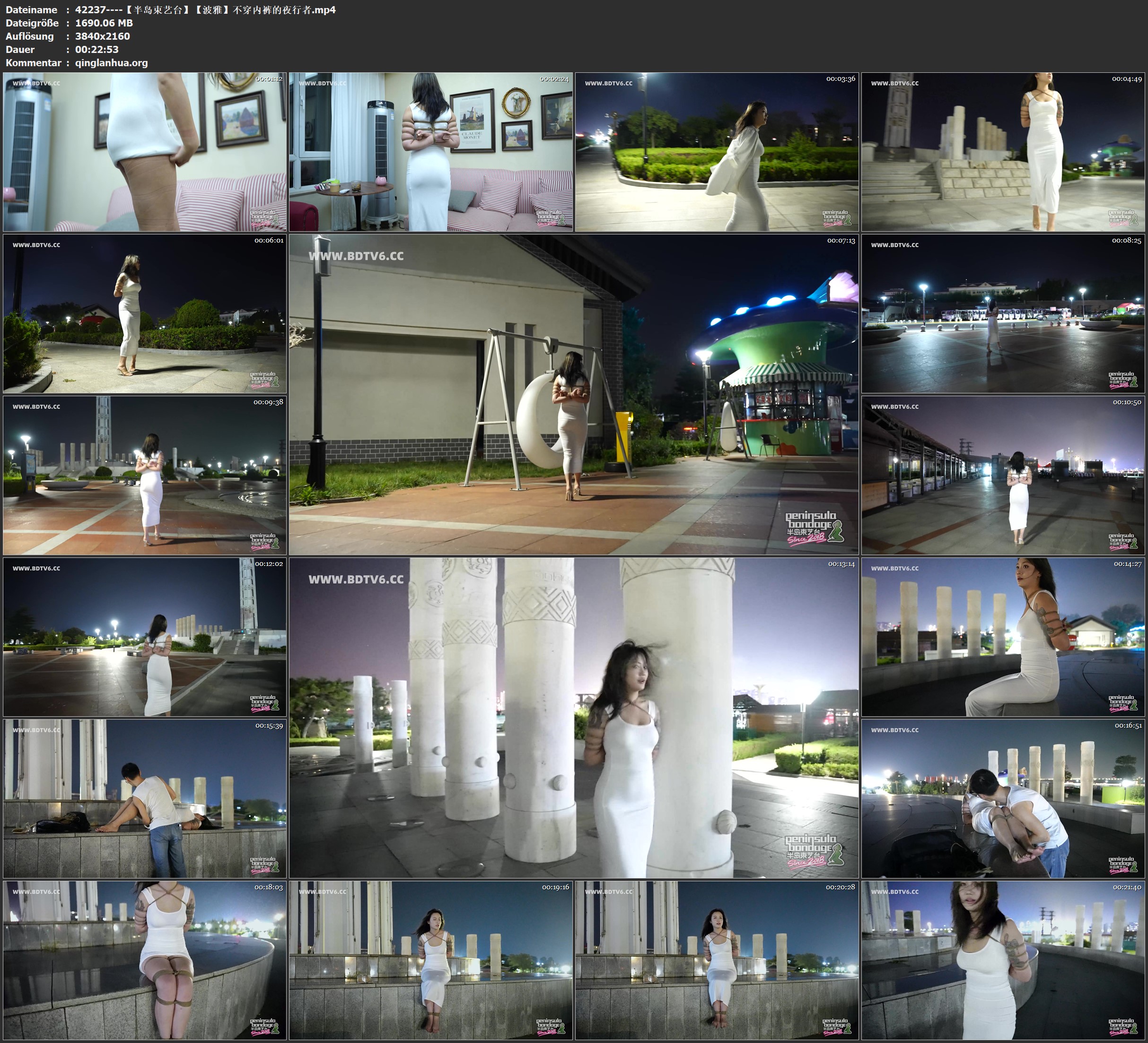 42237----【半岛束艺台】【波雅】不穿内裤的夜行者.jpg
