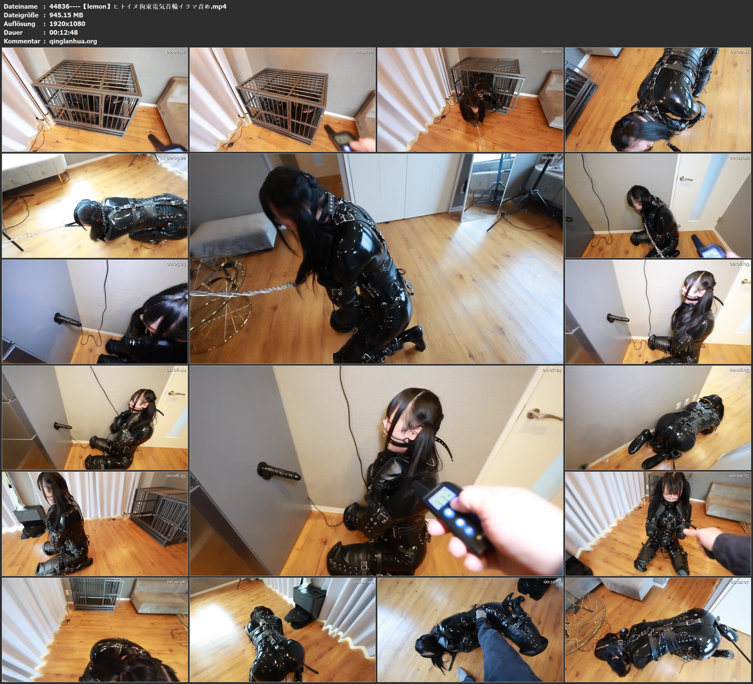 44836----【lemon】ヒトイヌ拘束電気首輪イラマ責め.jpg