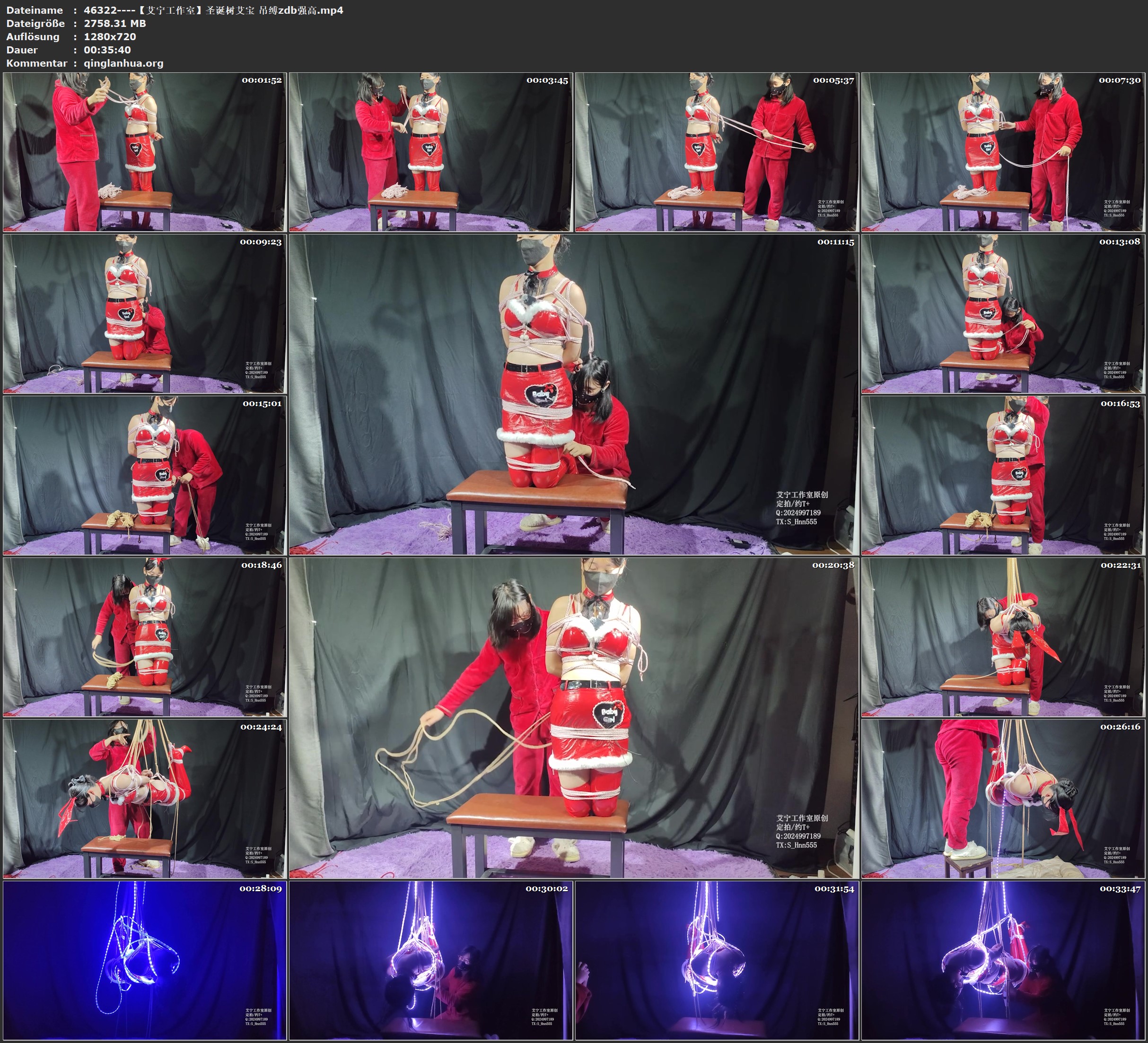 46322----【艾宁工作室】圣诞树艾宝 吊缚zdb强高.jpg