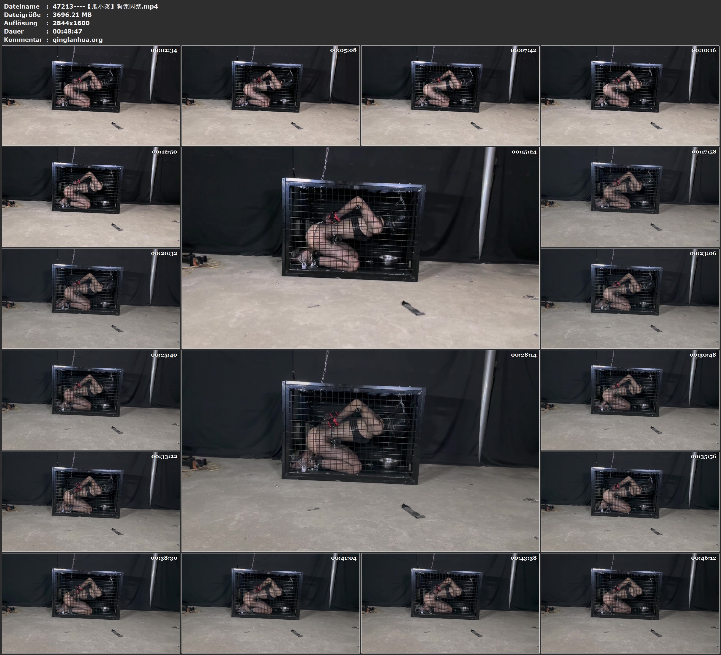 47213----【瓜小菜】狗笼囚禁.jpg