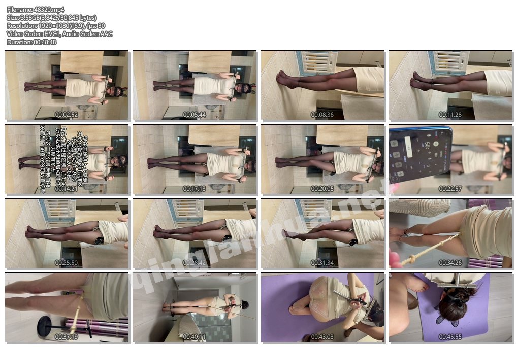 48320----【眼眸出品】《K9训练ZCD电击肛S 走绳》.jpg