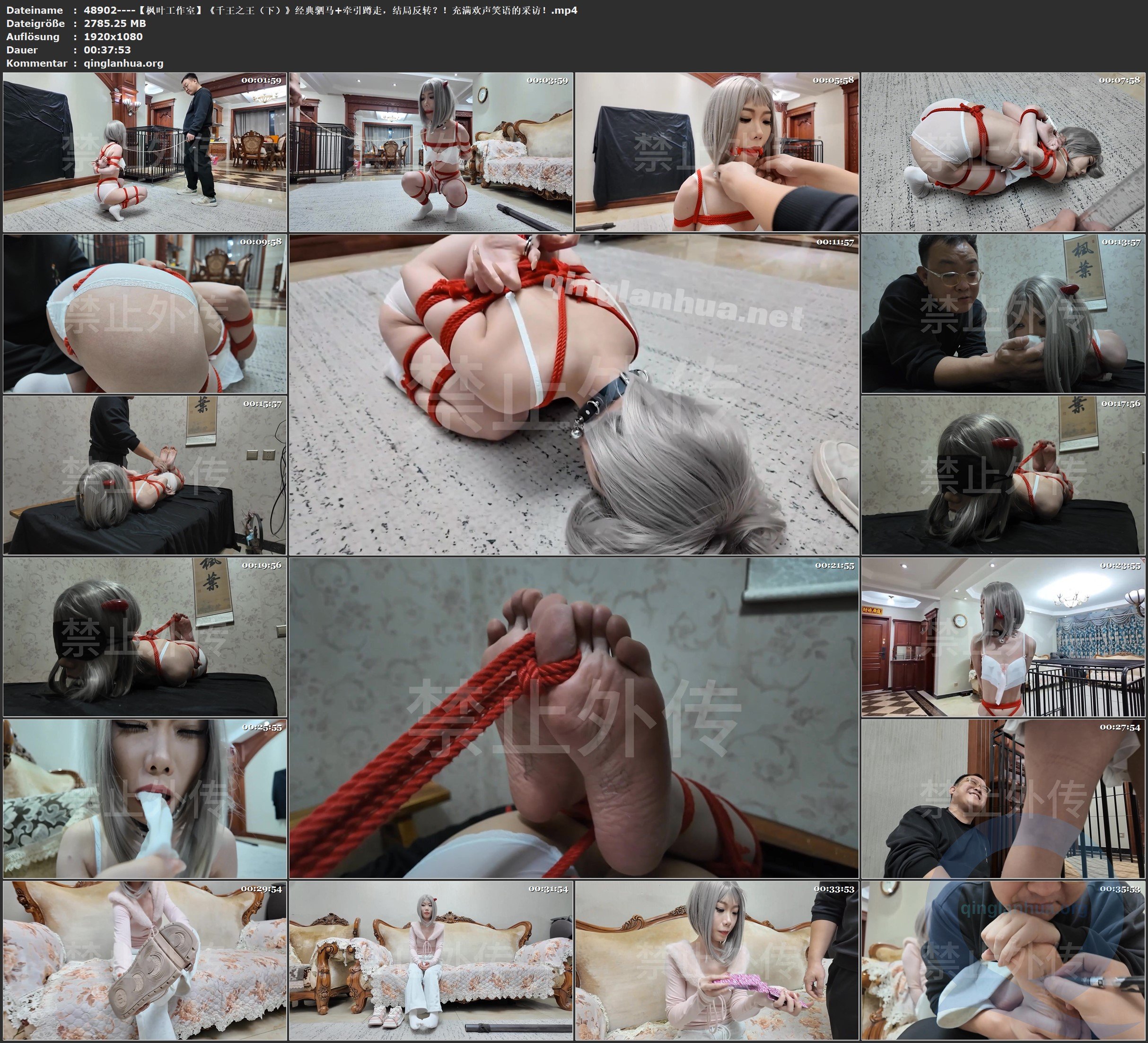 48902----【枫叶工作室】《千王之王（下）》经典驷马 牵引蹲走，结局反转？！充满欢声.jpg