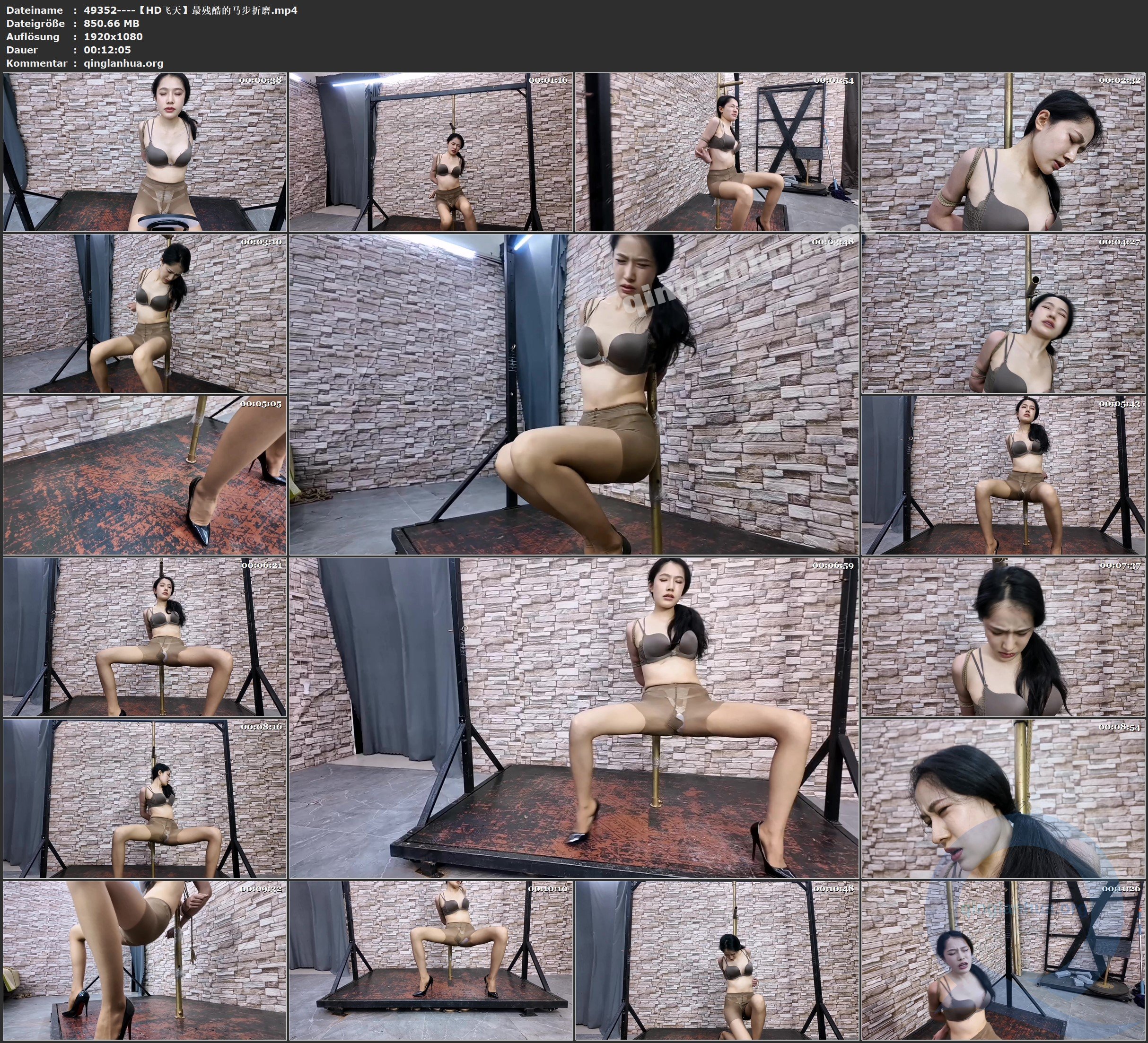 49352----【HD飞天】最残酷的马步折磨.jpg