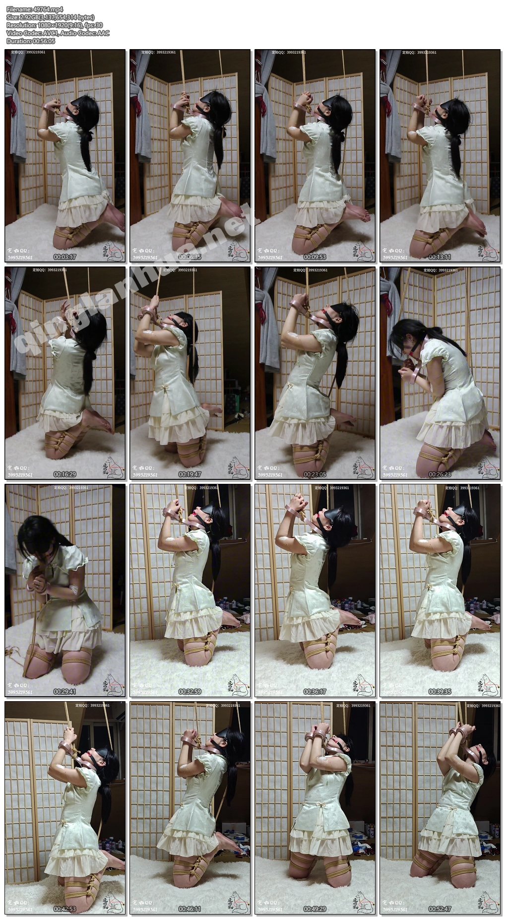 49764----【夜鸣狐】【跪缚】【颈手枷】【挣扎】【口球】【双视角】定拍转公映。小狐.jpg