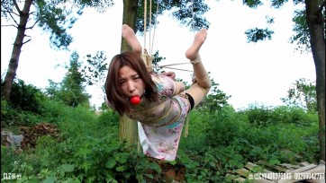 【clz原创】灵粒的第一次驷马吊，野外篇