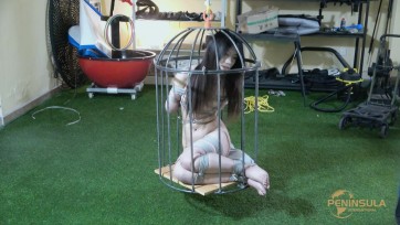 【半岛束艺台】【泽爱】笼中对