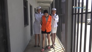 【梨花雨】凋落的时光