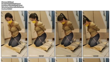 【忧郁的笨鸟】大胸梅丽的紧缚放置逃脱