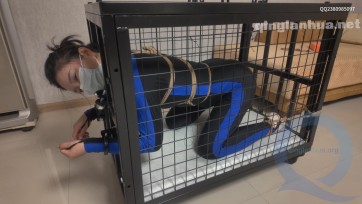 【道士下山】自傅 狗笼放置 囚禁