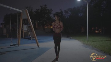 【半岛束艺台】【泽爱】小区遛猫